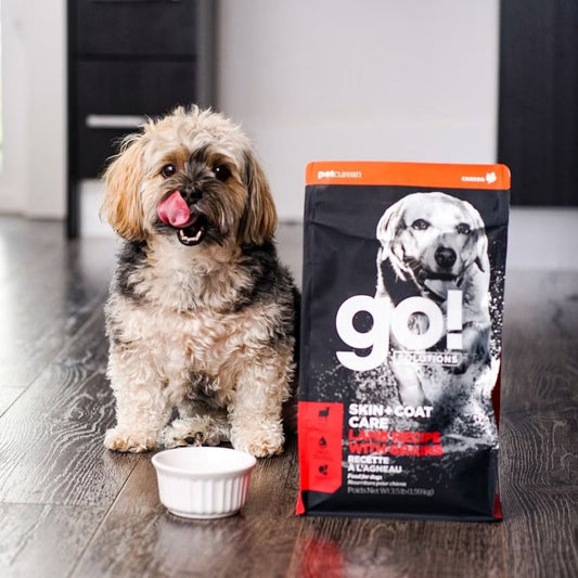 Go! Dog Skin & Coat Care Lamb With Grain 12Lb