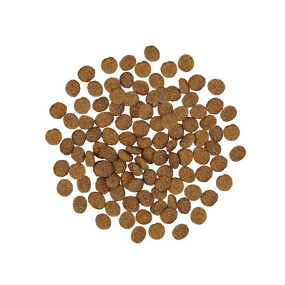 Go! Dog Skin & Coat Care Turkey With Grain 3.5Lb