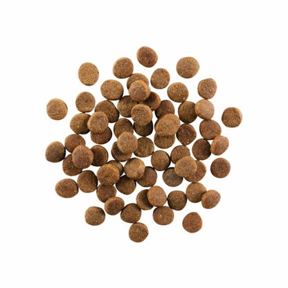 Go! Dog Carnivore Grain Free Adult Chicken, Turkey & Duck 3.5Lb