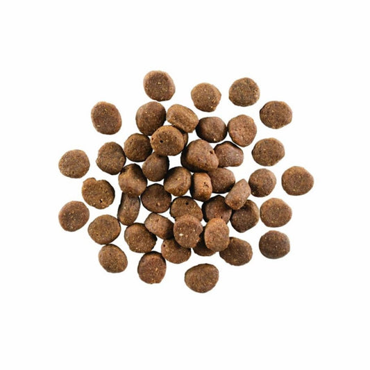 Go! Dog Carnivore Grain Free Lamb & Boar 22Lb