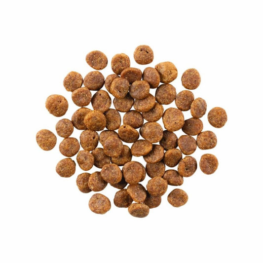 Go! Dog Sensitivities Limited Ingredient Grain Free Turkey 22Lb