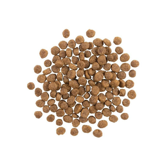 Go! Dog Sensitivities Limited Ingredient Grain Free Small Bites Salmon 3.5Lb