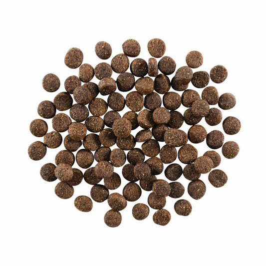 Go! Dog Skin & Coat Care Lamb With Grain 22Lb