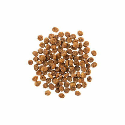 Go! Cat Sensitivities Limited Ingredient Grain Free Salmon 6Lb