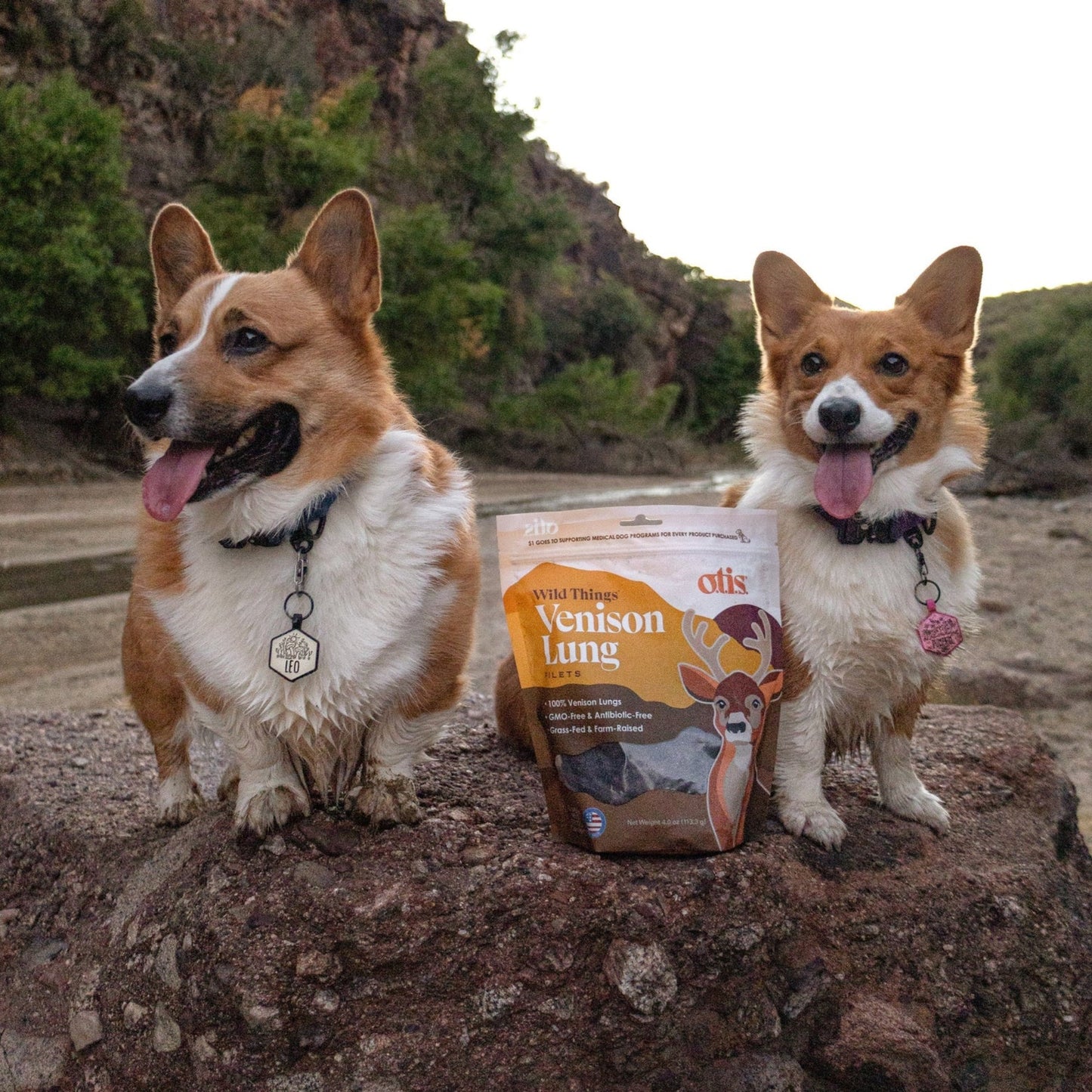 Otis Dog Wild Things Grain Free Venison Lung Filets 4oz.