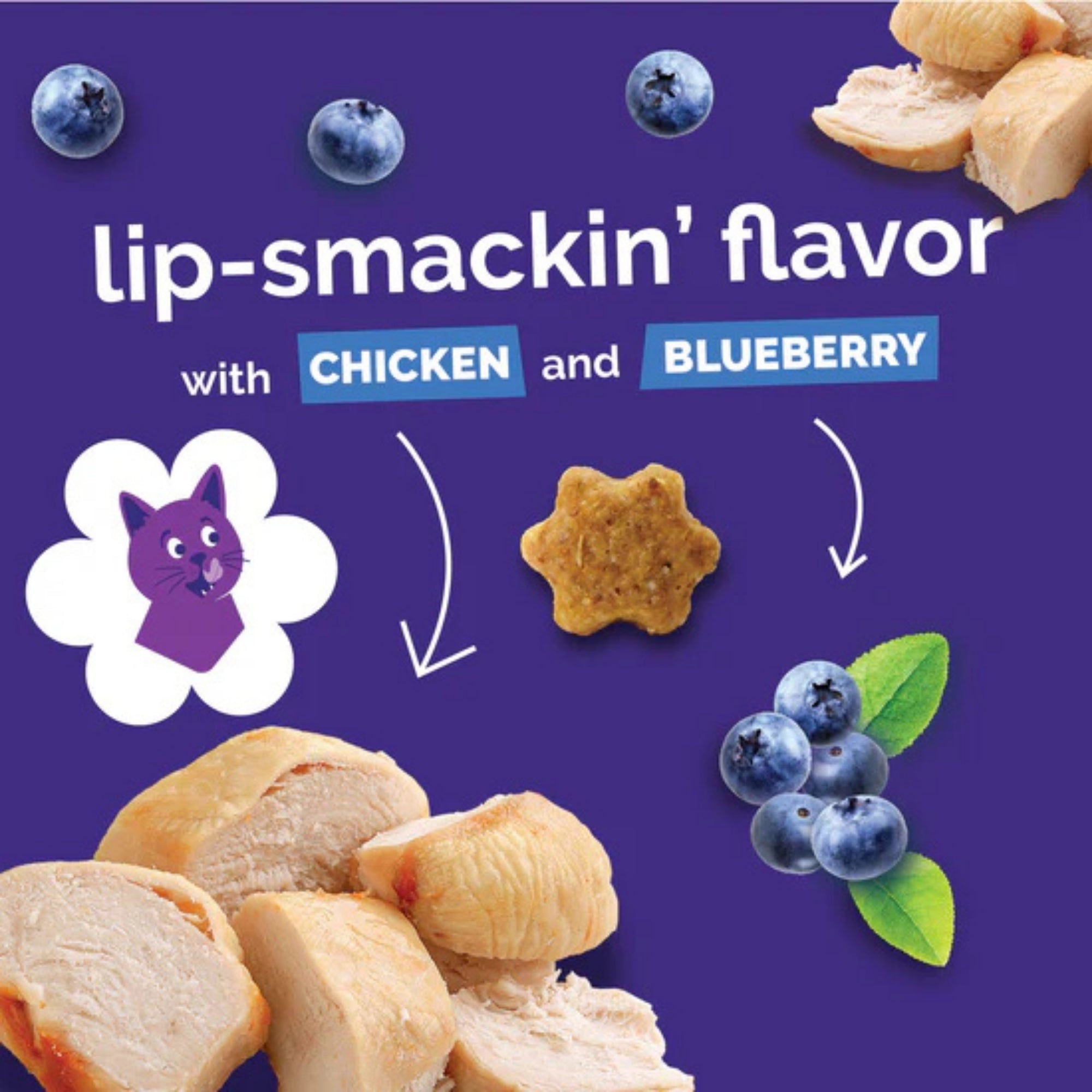 Fruitables Limited Ingredient Crunchy Cat Treats Chicken w/Blueberry 1ea/2.5 oz