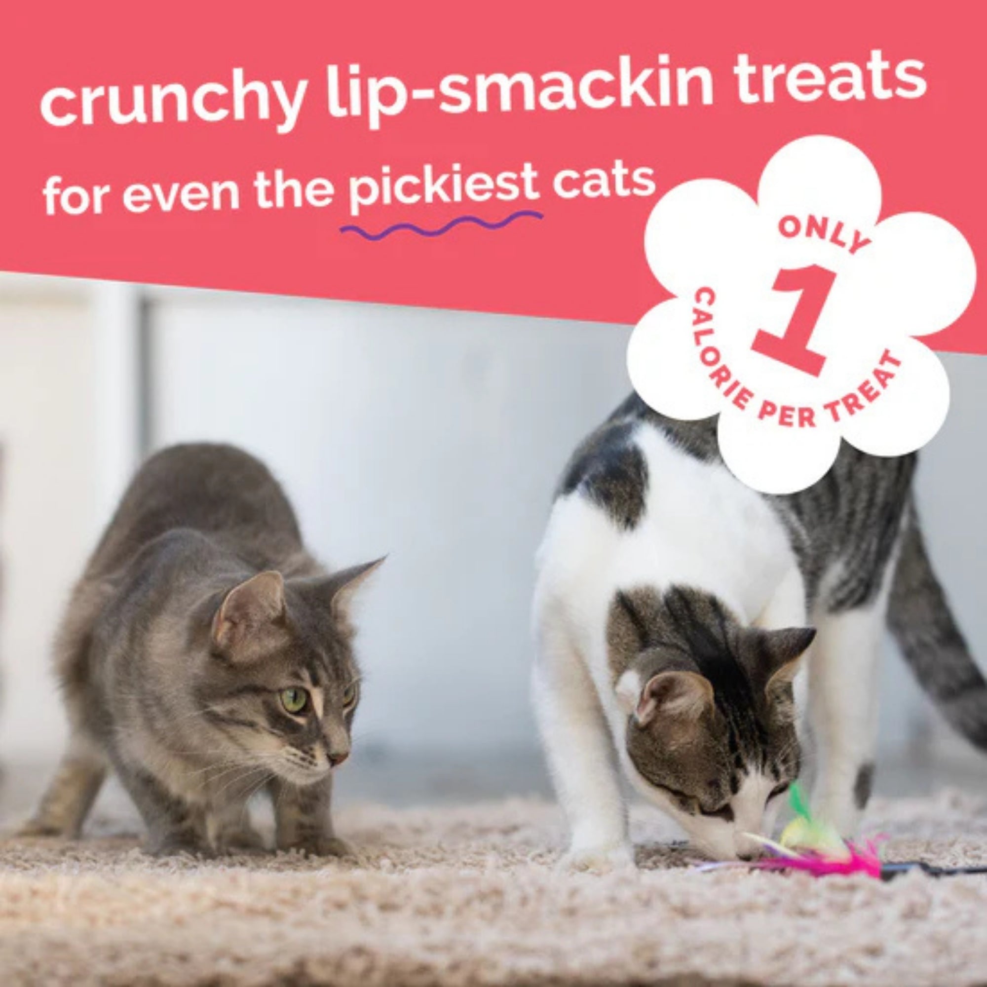 Fruitables Limited Ingredient Crunchy Cat Treats Salmon w/Cranberry 1ea/2.5 oz
