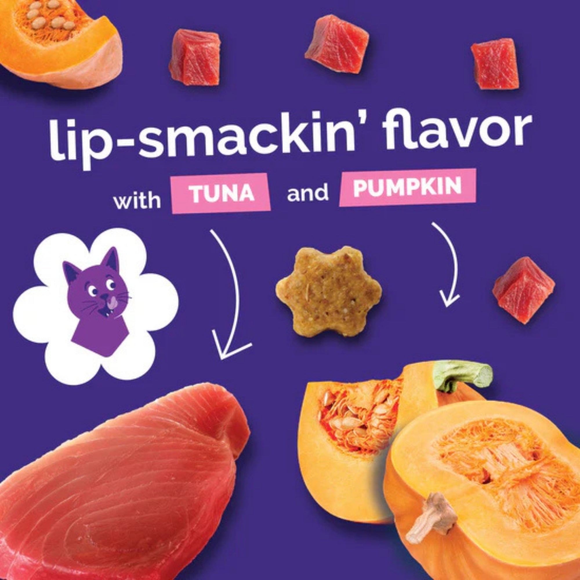 Fruitables Limited Ingredient Crunchy Cat Treats Tuna w/Pumpkin 1ea/2.5 oz