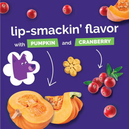 Fruitables Crunchy Baked Dog Treats Pumpkin Cranberry 1ea/7 oz