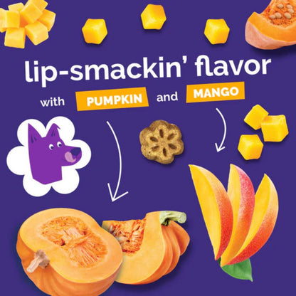 Fruitables Skinny Minis Soft Dog Treats Pumpkin Mango 1ea/5 oz