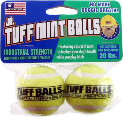 Petsport USA Jr. Mint Balls Dog toy Assorted, 1ea/2 pk, 1.8 in